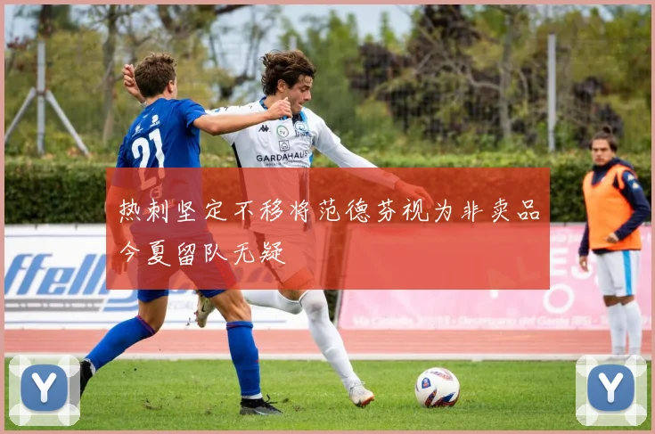 热刺坚定不移将范德芬视为非卖品今夏留队无疑