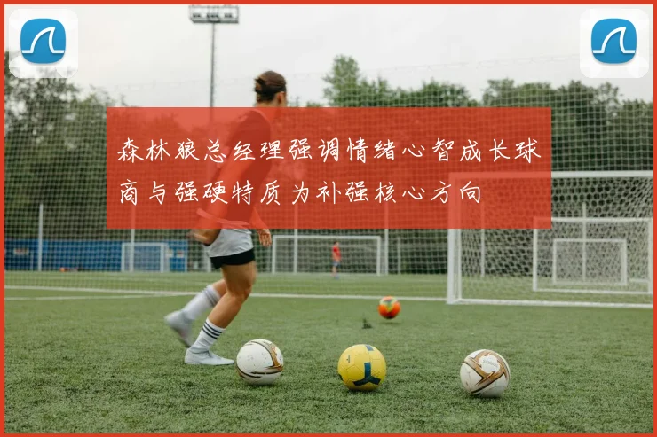 森林狼总经理强调情绪心智成长球商与强硬特质为补强核心方向
